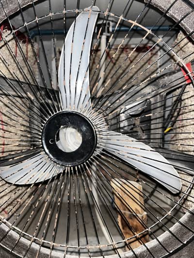 Fan solar and lactic