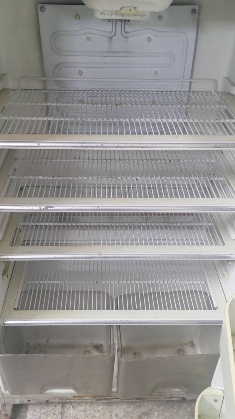 Dalwanace full size 1