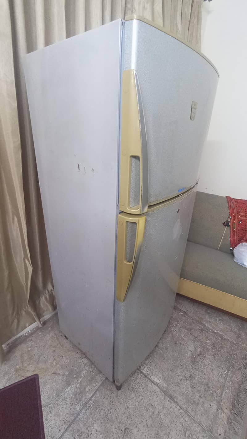 Dalwanace full size 2