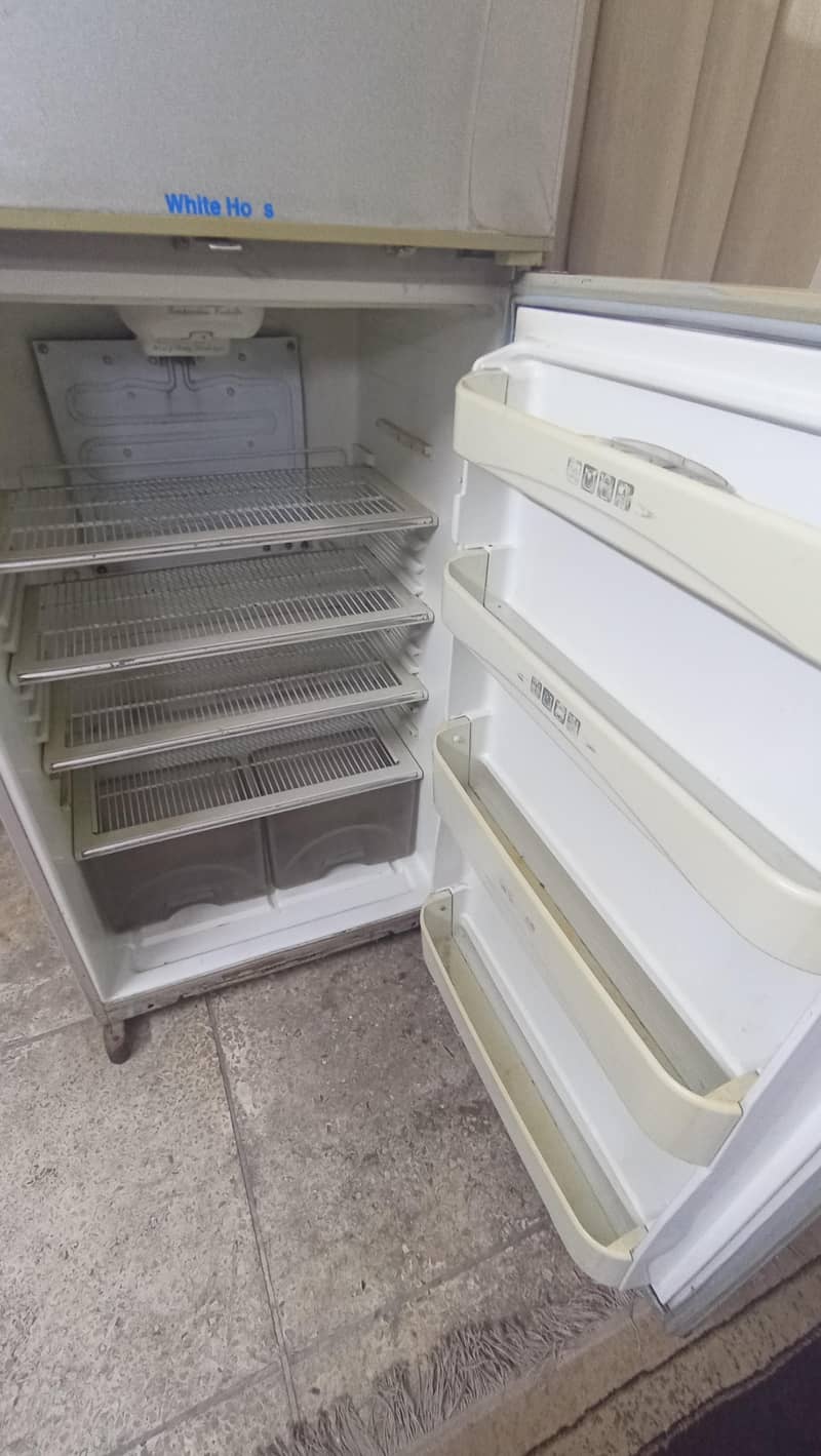 Dalwanace full size 3