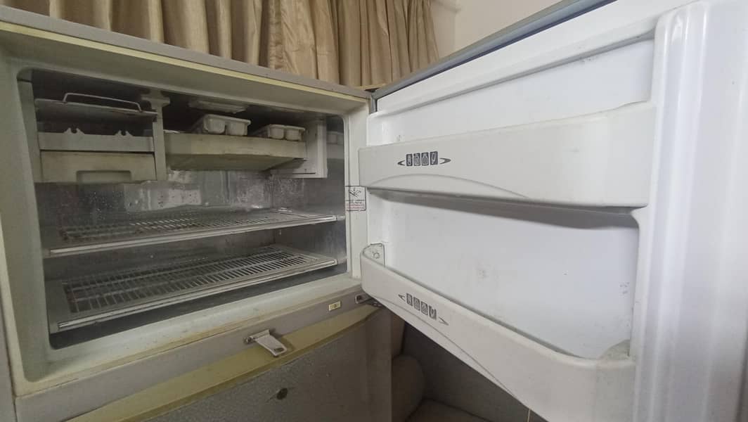 Dalwanace full size 4