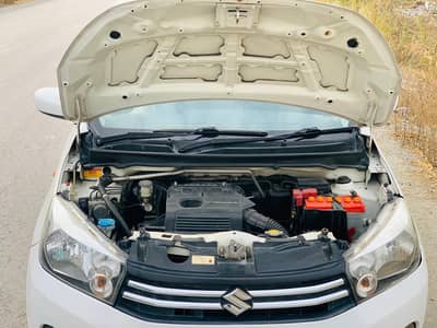 Suzuki cultus 2019 for sale