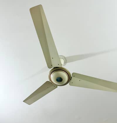 3 GFC ceiling Fans