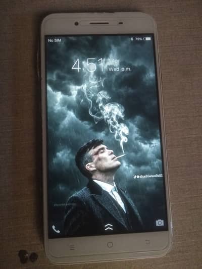 Vivo Y66 Just have to exchange