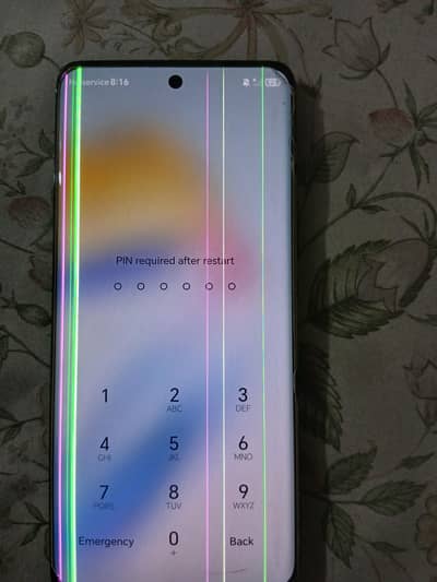 Honor X9b     12/256