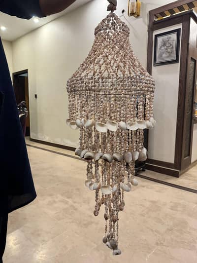 sea shell chandelier