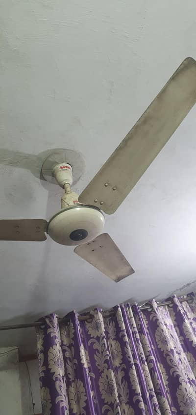 4 fans available for sale Royal Fans all 100% okay