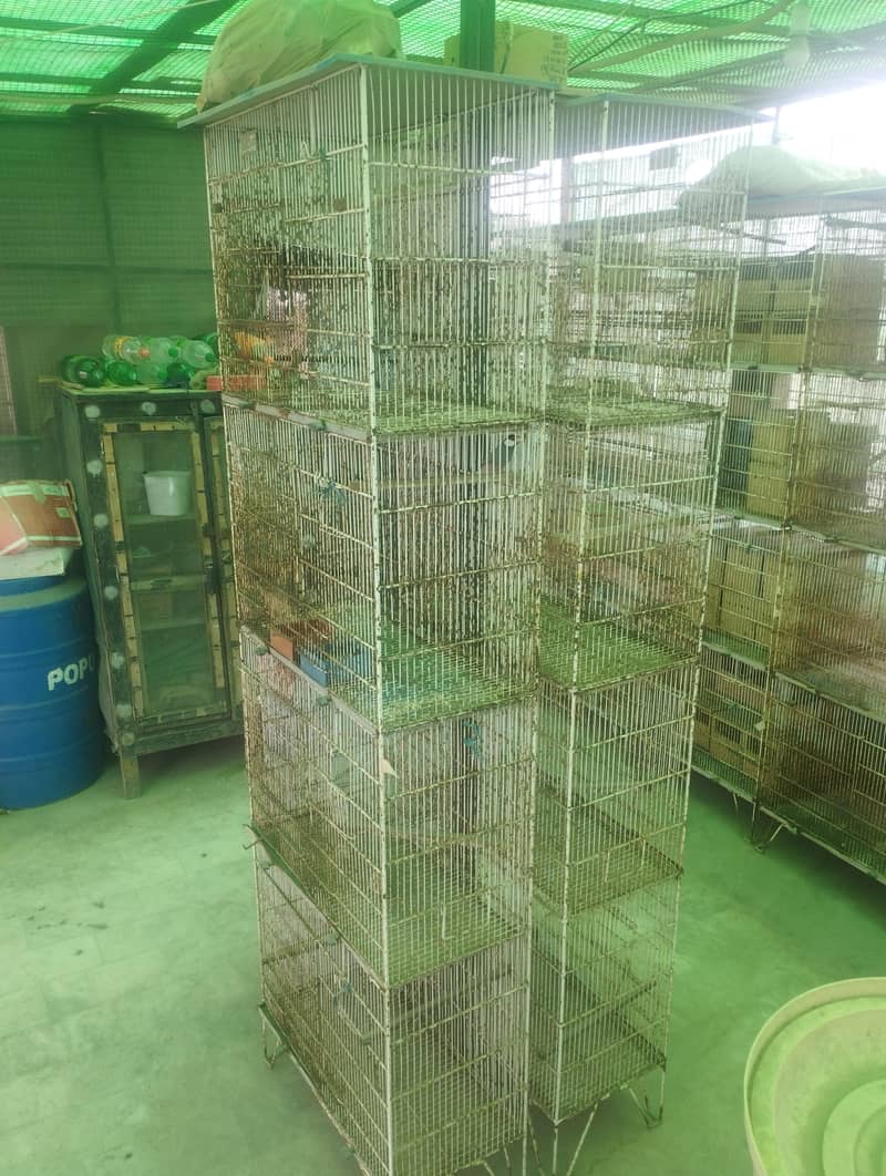 Java Finch Cages 6