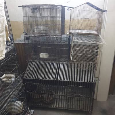 hen iron cage