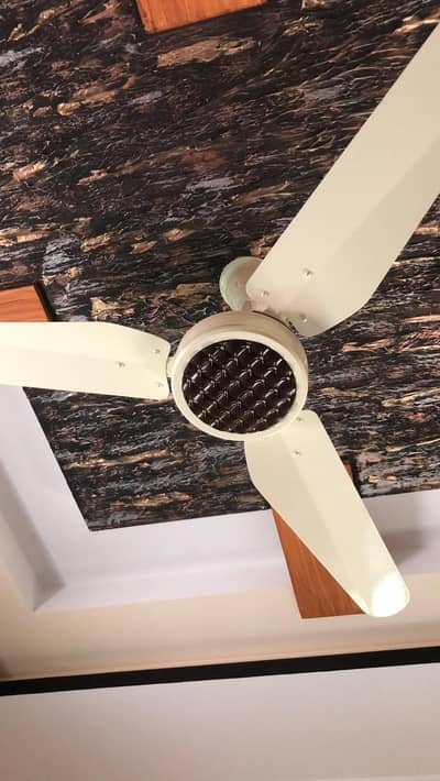 Fans    ceiling fans    ACDC fans  exhaust fans  in wholesale prices