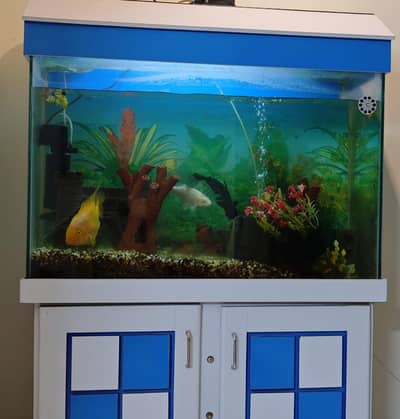 Fish Tank with Cabinet and All Accessories