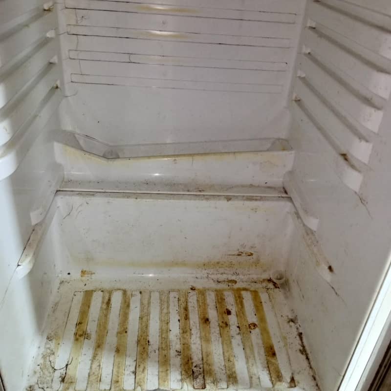 ارجینٹ فارسل 1