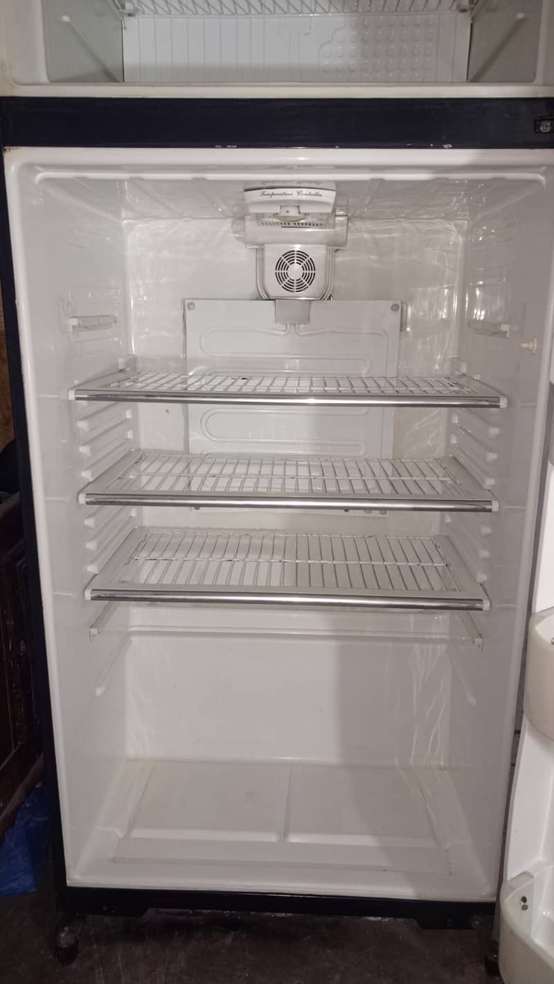 downlance  Jambo size 6