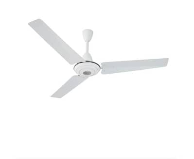 Ceiling fan