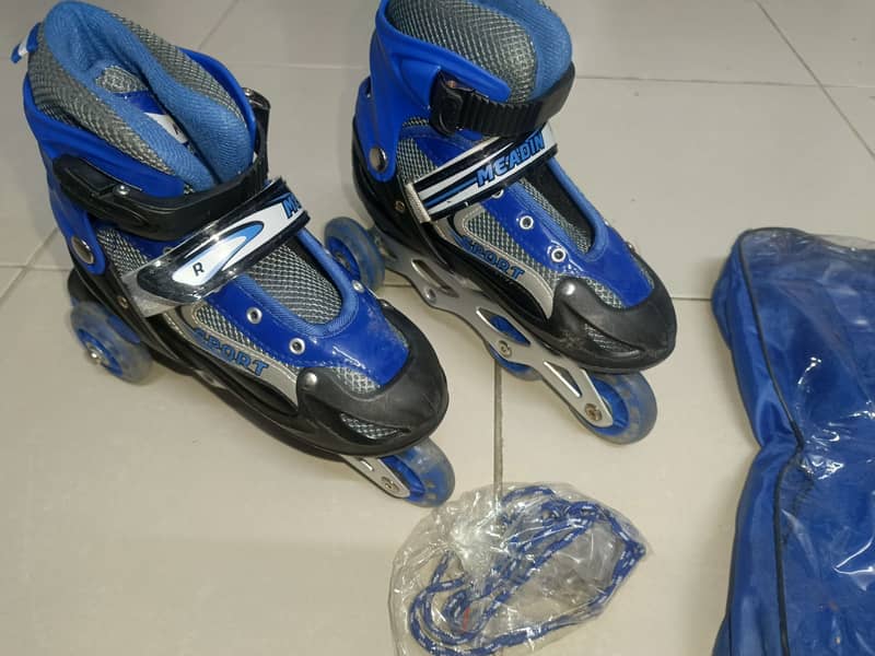 Skates 2