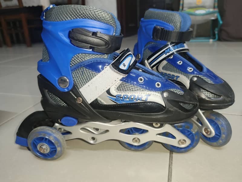Skates 3