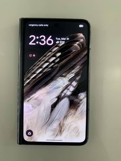 Google pixel fold pta approved