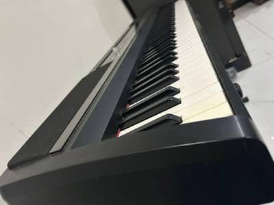 KORG Piano 88 Hammer weighted keys
