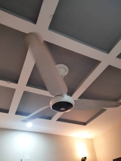 Pak fan (3 fan for sale)