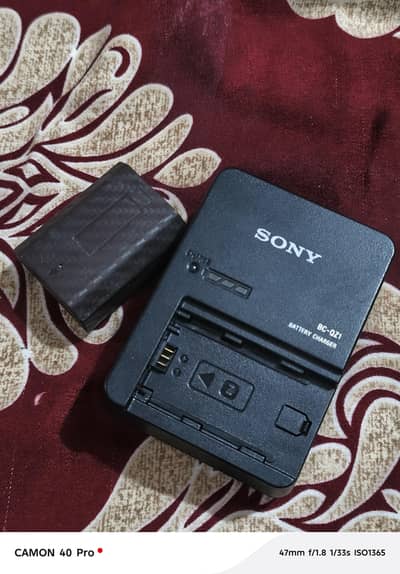 Sony battery & Charger