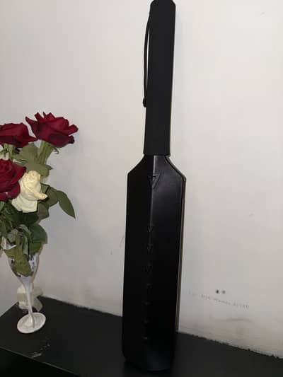 MetaShot cricket bat with connection cable