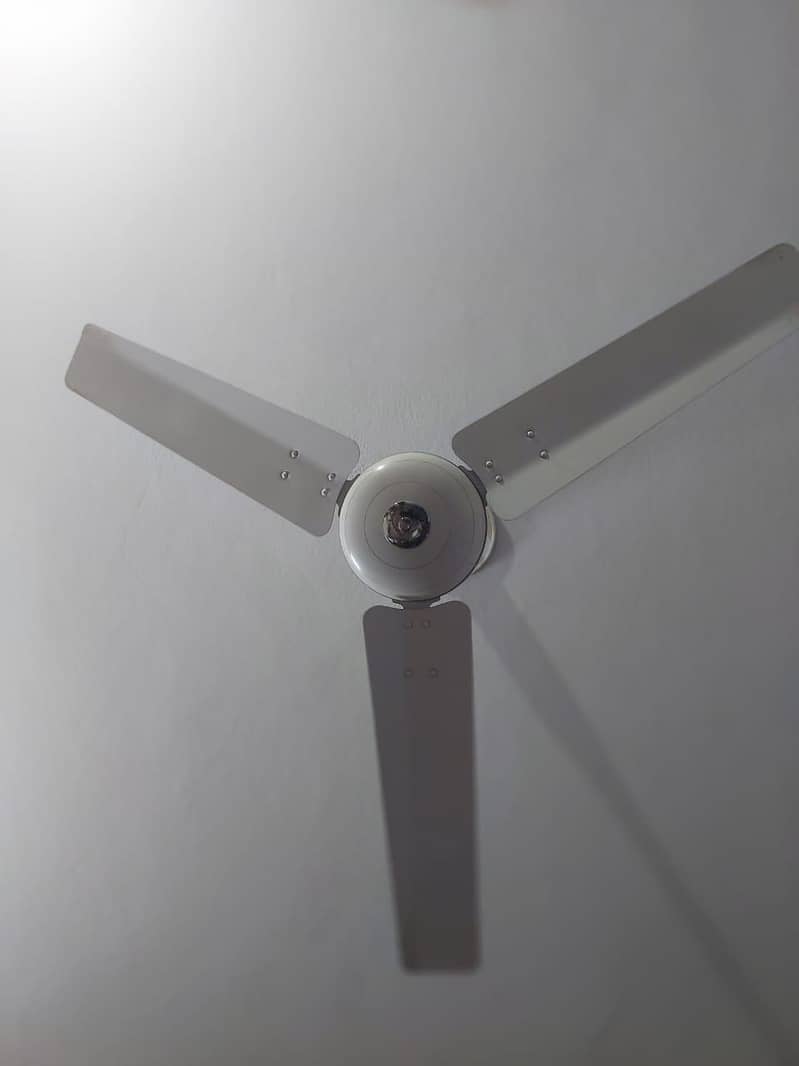 CEILING FANS 1
