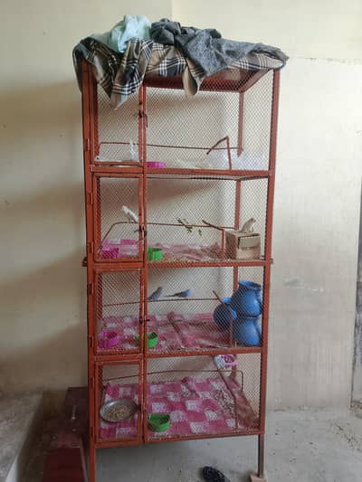 parrot cage 1 month use only