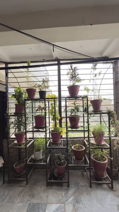 Elegant and Spacious 8 marla House first floor for rent