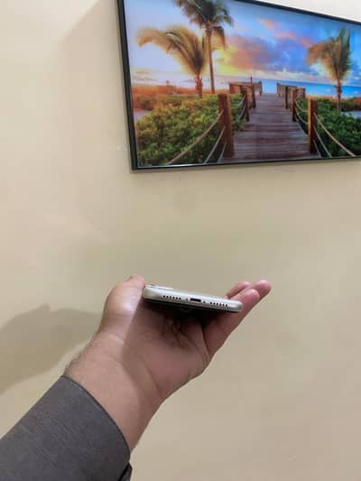 iPhone 11 factory unblock