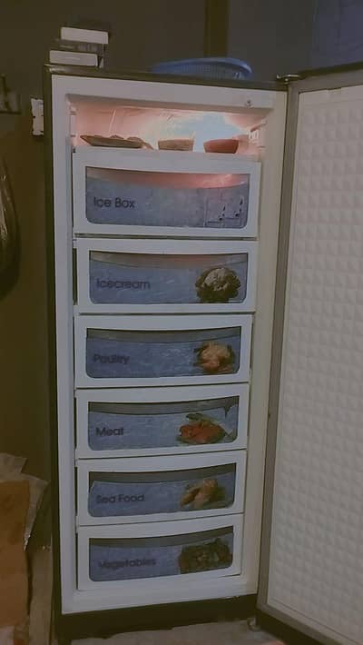 vertical freezer