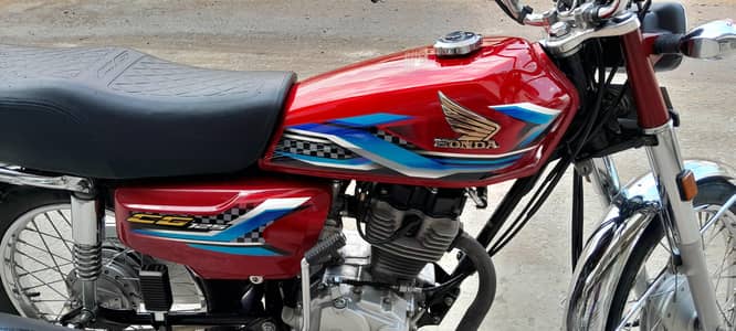 2024 model 10 by 10  candation