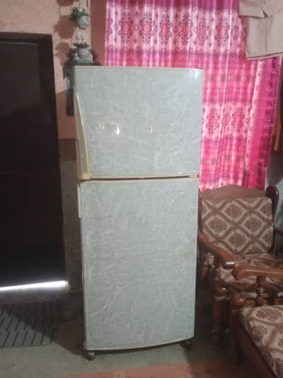 for sale tradition okay