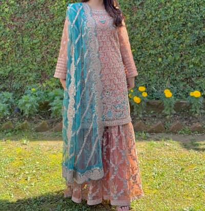 Party Wear Dress for female