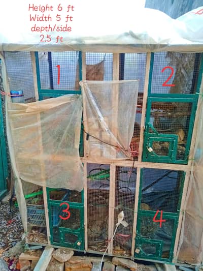 nihen parrot pigeon cage fo sale