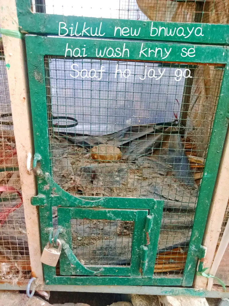 nihen parrot pigeon cage fo sale — photo 2