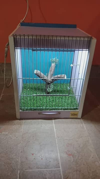 love bird lighting show cage out claas