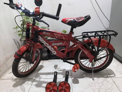 Chicago Bicycle 2 seater. . .