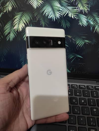 Pixel 6 Pro - 12/128