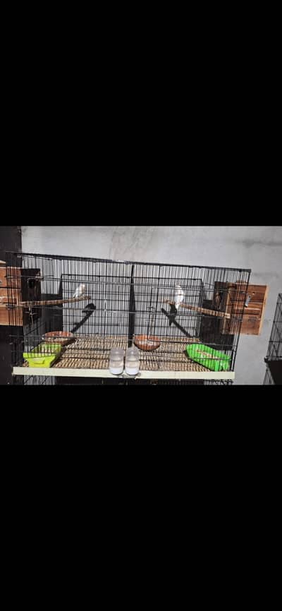 5 Birds Cages Single and Double Portion with Partition