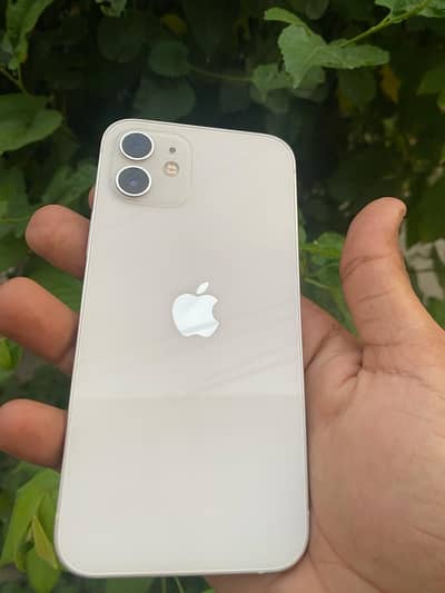 Iphone 12 white color