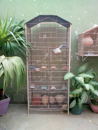 8 portion cage with good condition