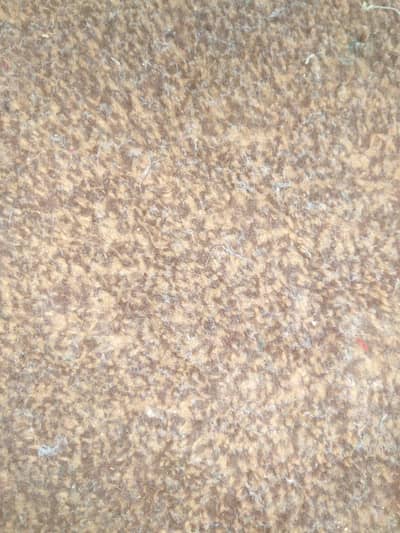carpet jabardasth hai bilkul sahi condition mein hai bahut theek hai