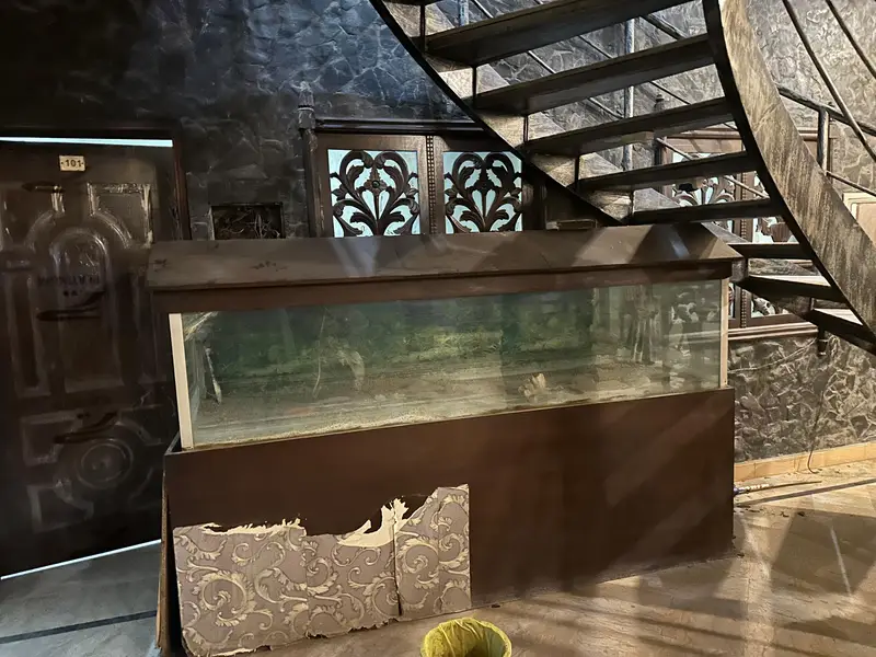 aquarium for sale krna — photo 2