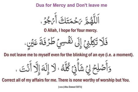 House Helper Required