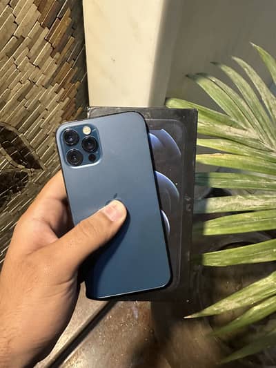 Iphone 12 pro Pta Approved 256 Gb