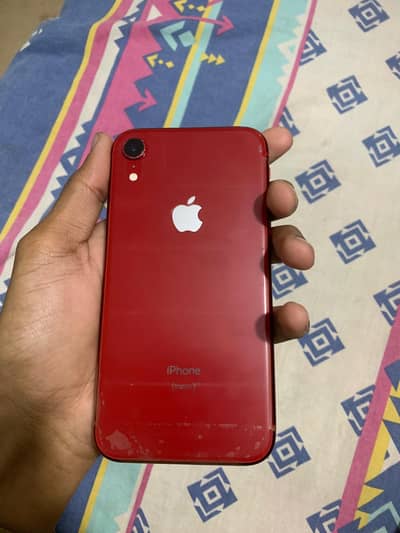 iPhone XR