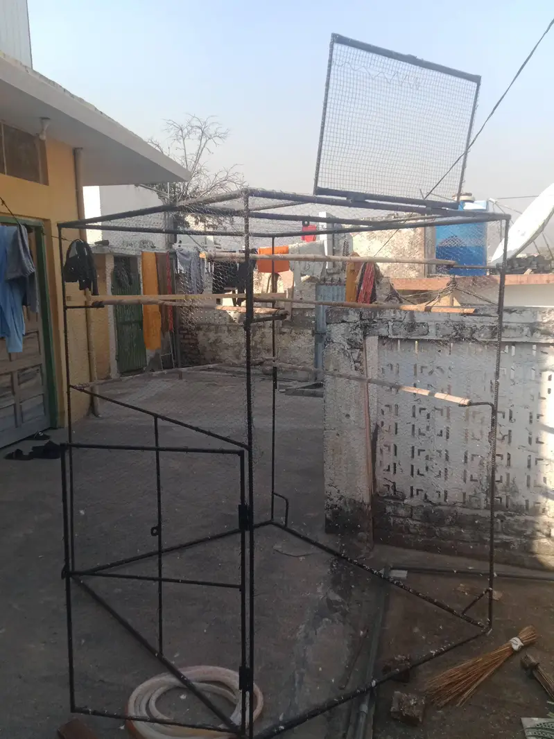 Cage /pigeon/Birds/pet's — photo 3