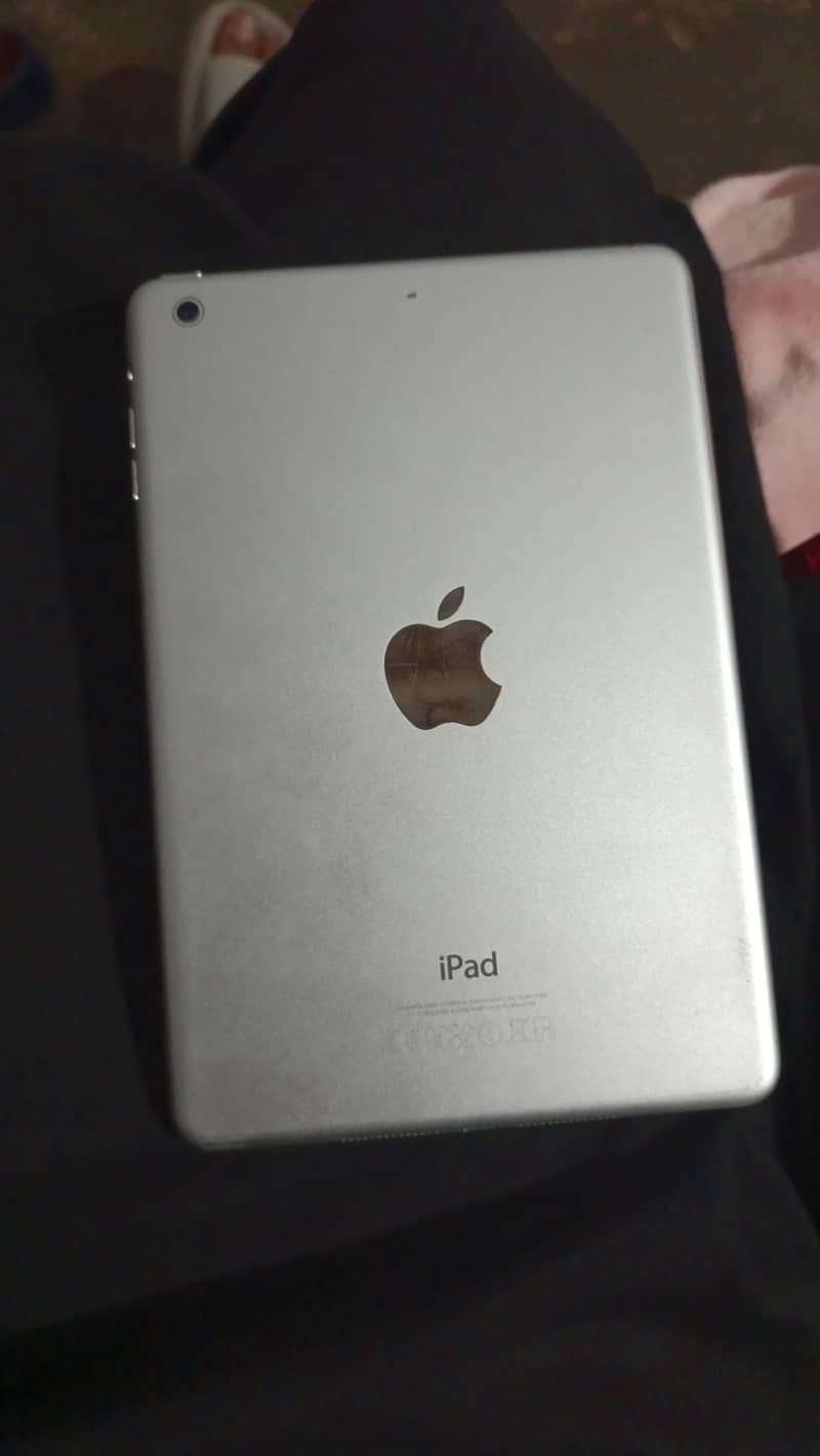 ipad mini 2 0