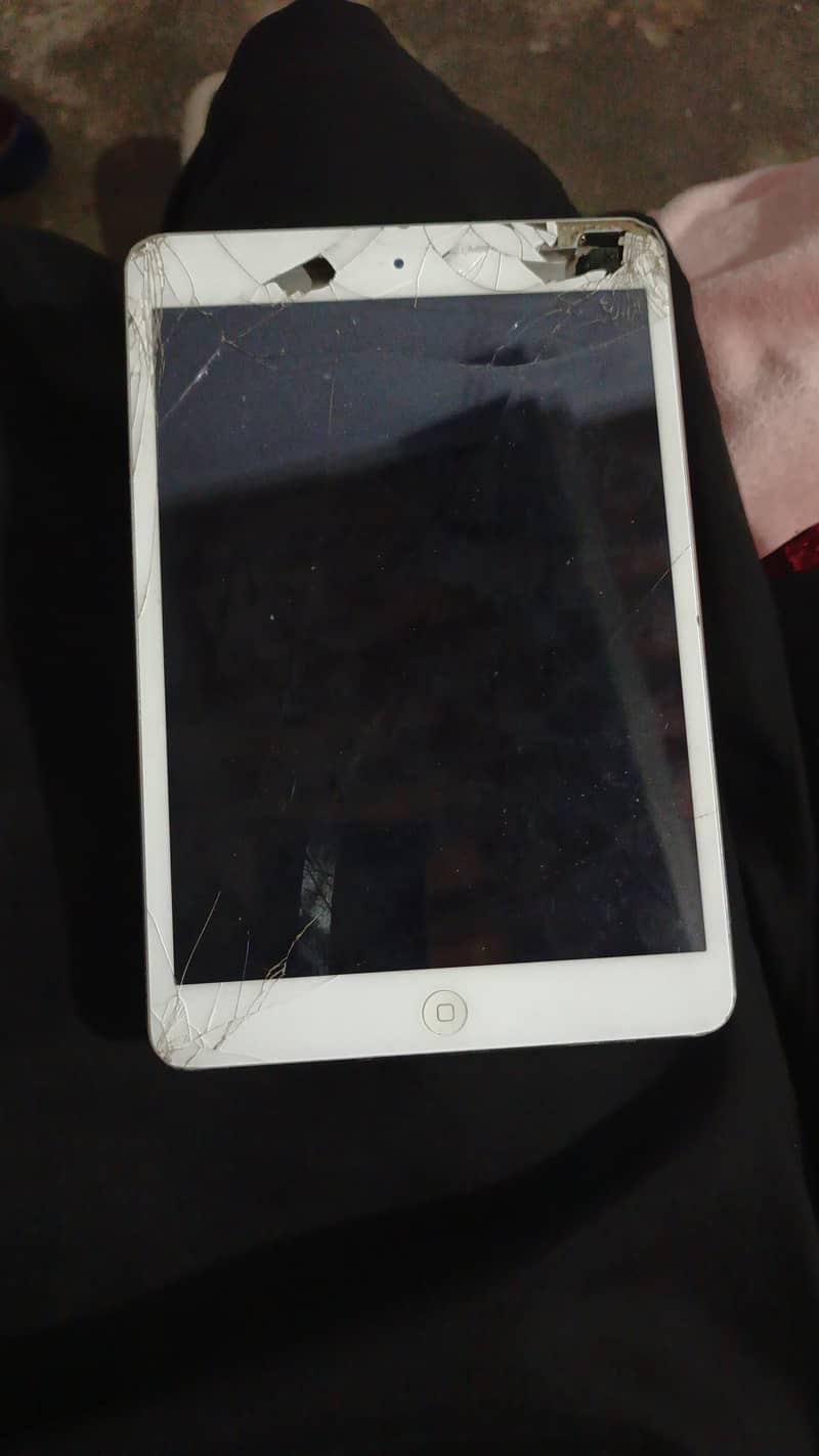 ipad mini 2 1