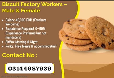 Buiscuit packing job male female morning night shift Urgent hiring